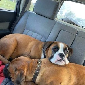 Meet your Posher, Leonie